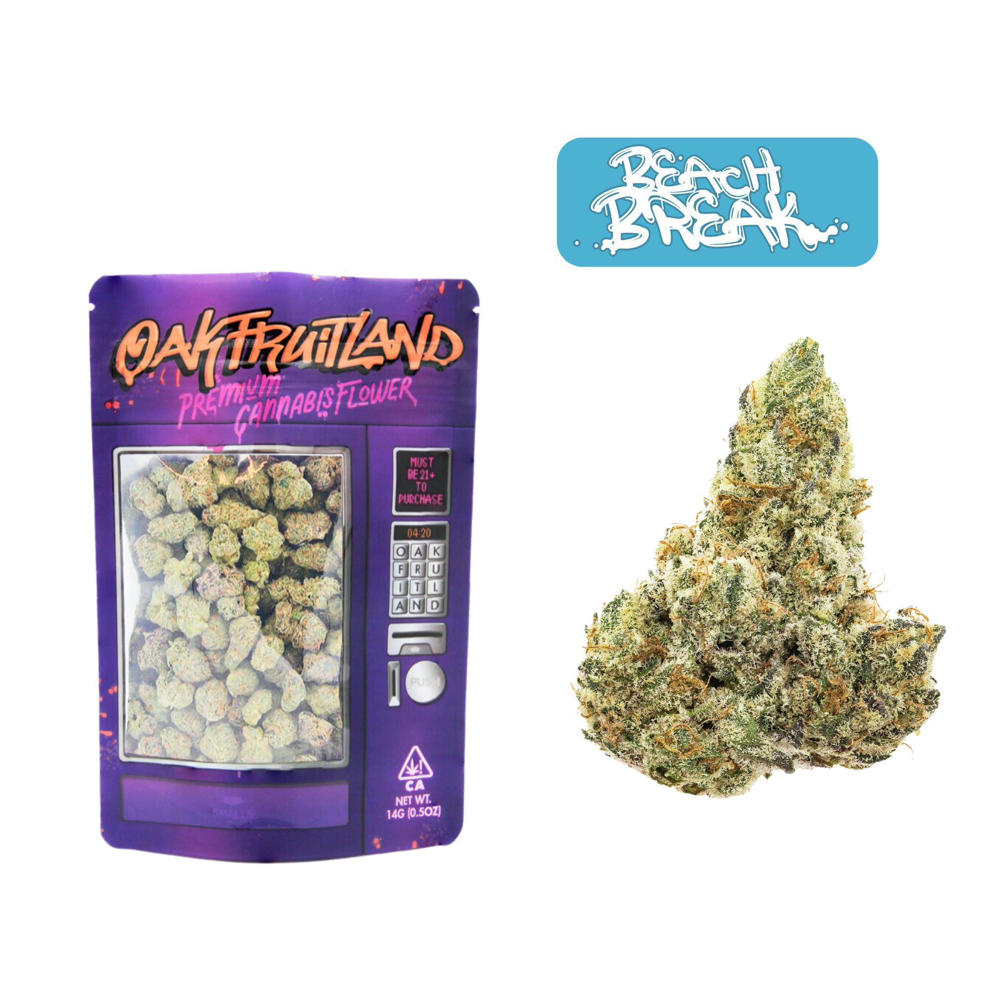 Beach Break Premium — Funsize Series