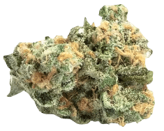 Evidence — Juicy Fruit