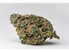 Melted Melonz 3PK - Sativa
