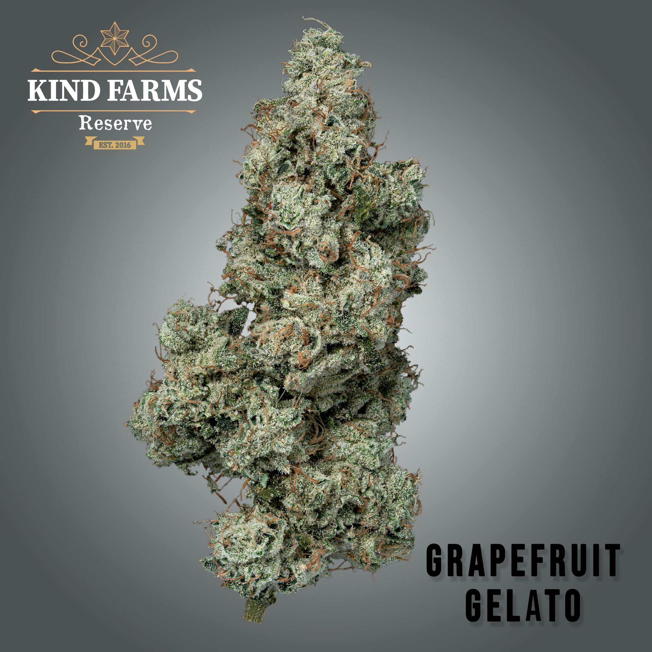 Grapefruit Gelato Kind Farms Reserve Kind Farms Reserve