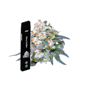 Drip 3g All In One - Green Crack (Sativa)