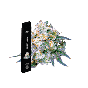 Drip 2g All In One - Cherry Cookies (Hybrid)