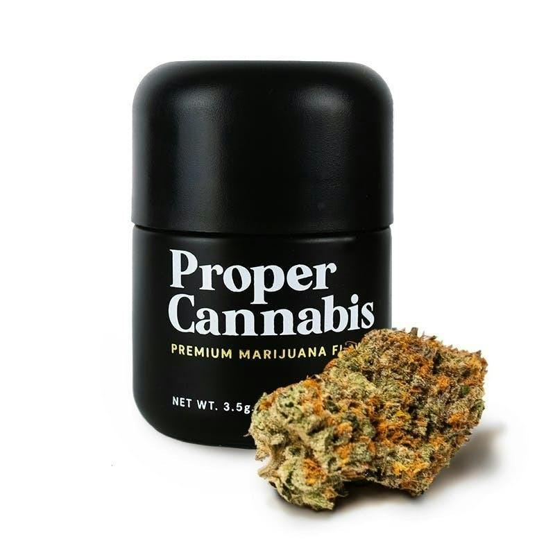 Proper Cannabis - Golden Goat | 7g by Proper Cannabis