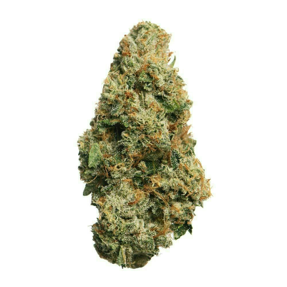 Proper Cannabis - Louis XIII OG | 3.5g by Proper Cannabis