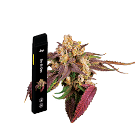 Drip 2g All In One - Do-Si-Dos (Indica)