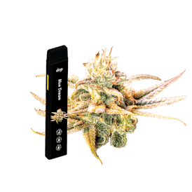 Drip 2g All In One - Blue Dream (Sativa)