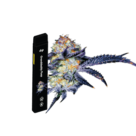 Drip 2g All In One - Granddaddy Purple (Indica)