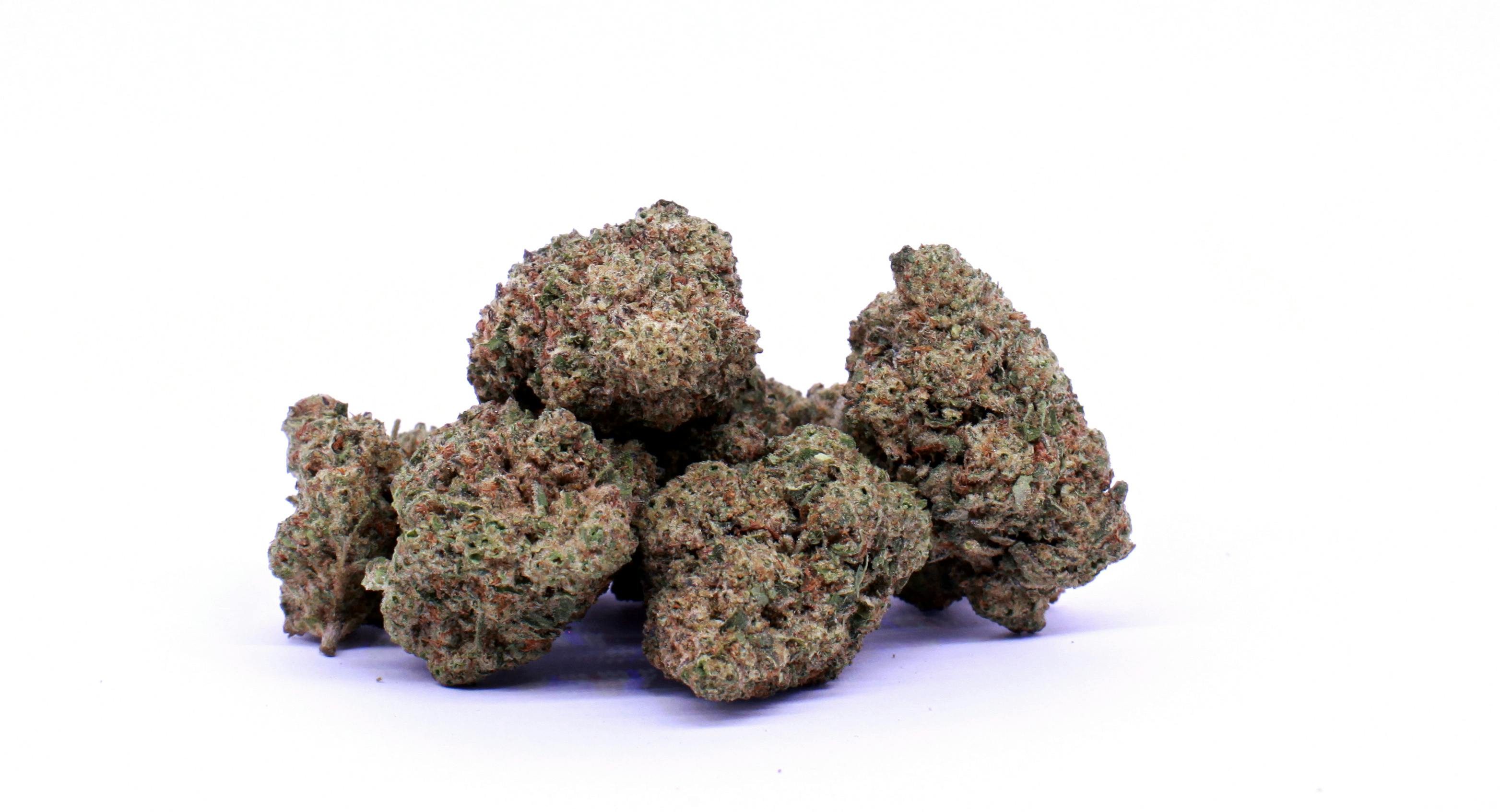 Bermuda Triangle | Buds
