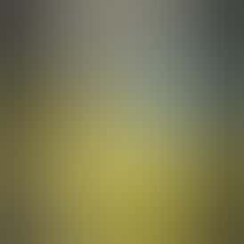 Crude Boys 1g Cartridge - Tropical Berries (Indica)