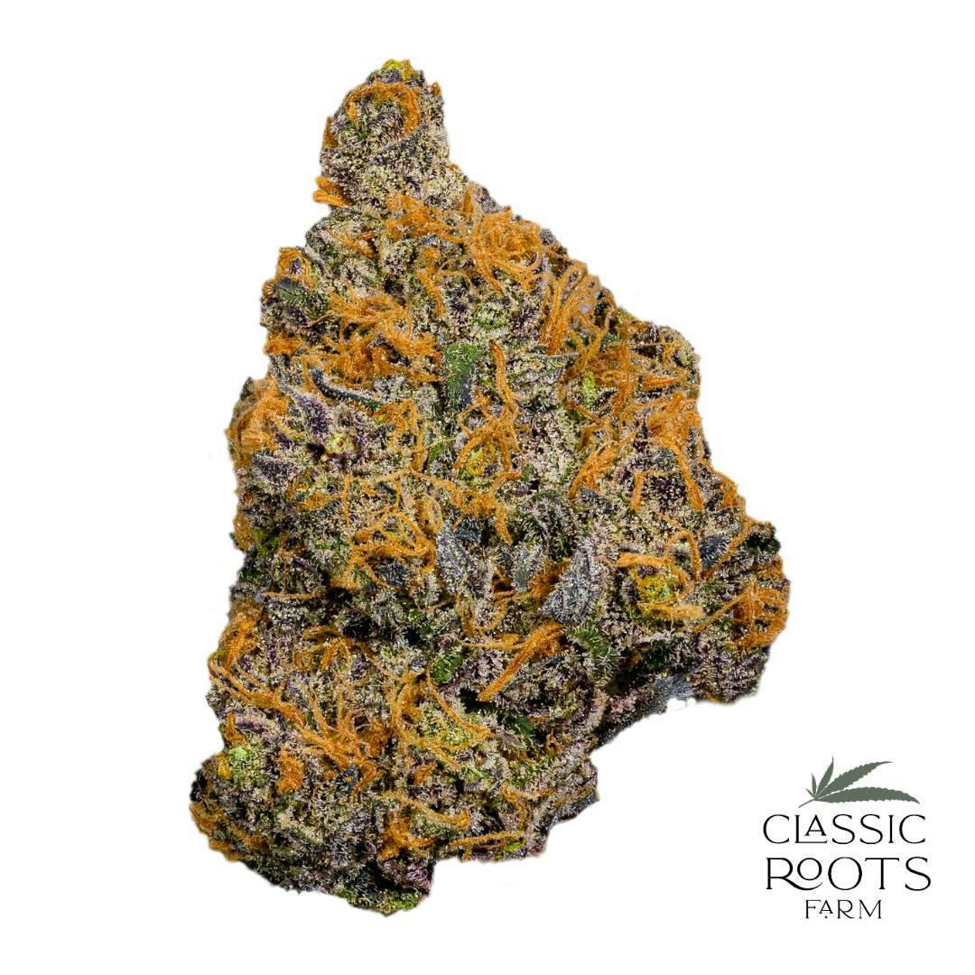 Classic Roots Farm | Apple Jax | Flower - Classic Roots Farm