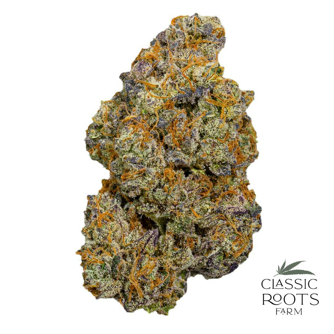 Classic Roots Farm | Jr. Mintz | Flower - Classic Roots Farm