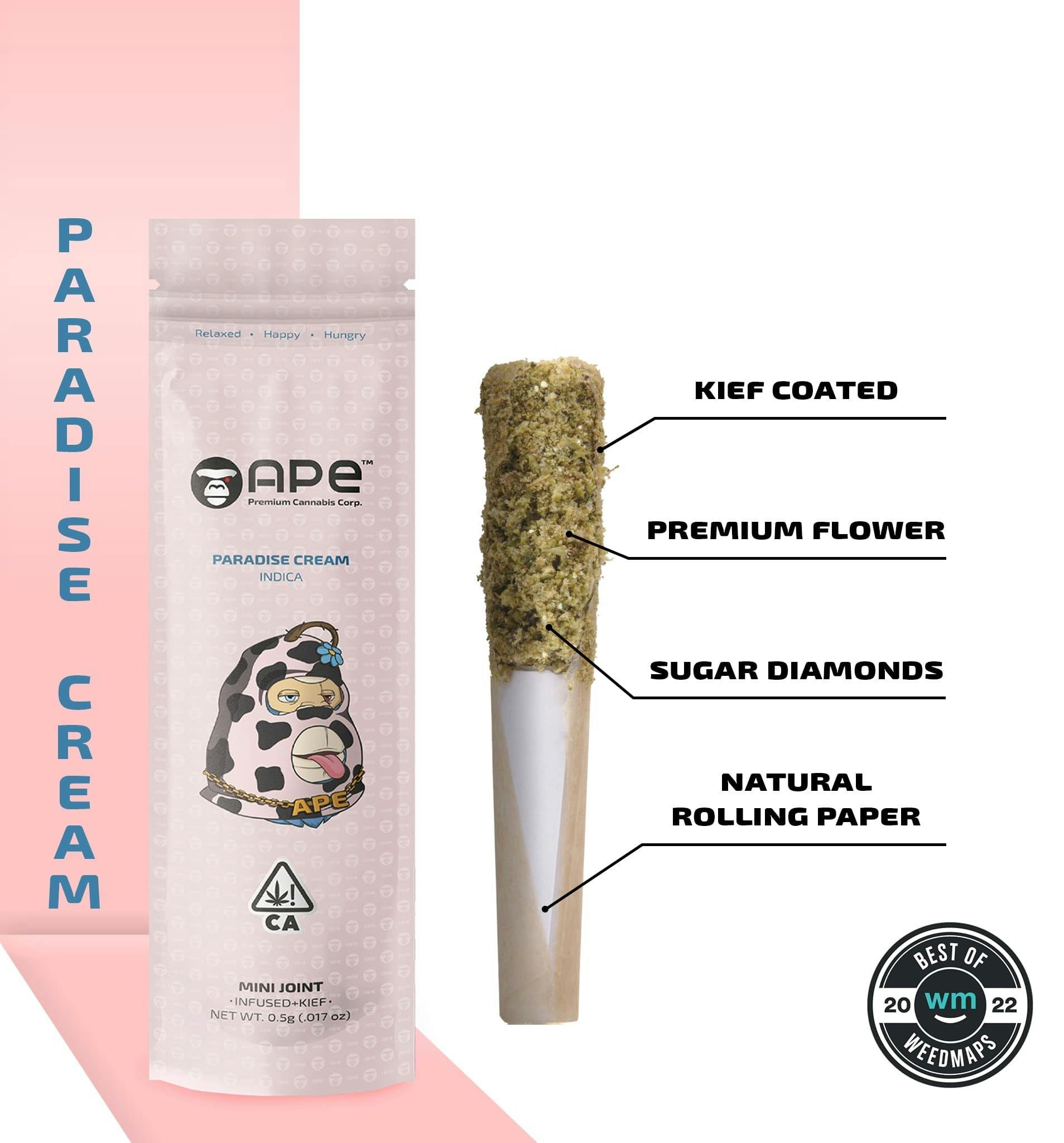 Cannabis & Onlyfans:  A Forbidden Paradise? - 5mmmtj7