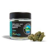 GHF | GELATO #41 X ANIMAL MINTS | FLOWER | 3.5G
