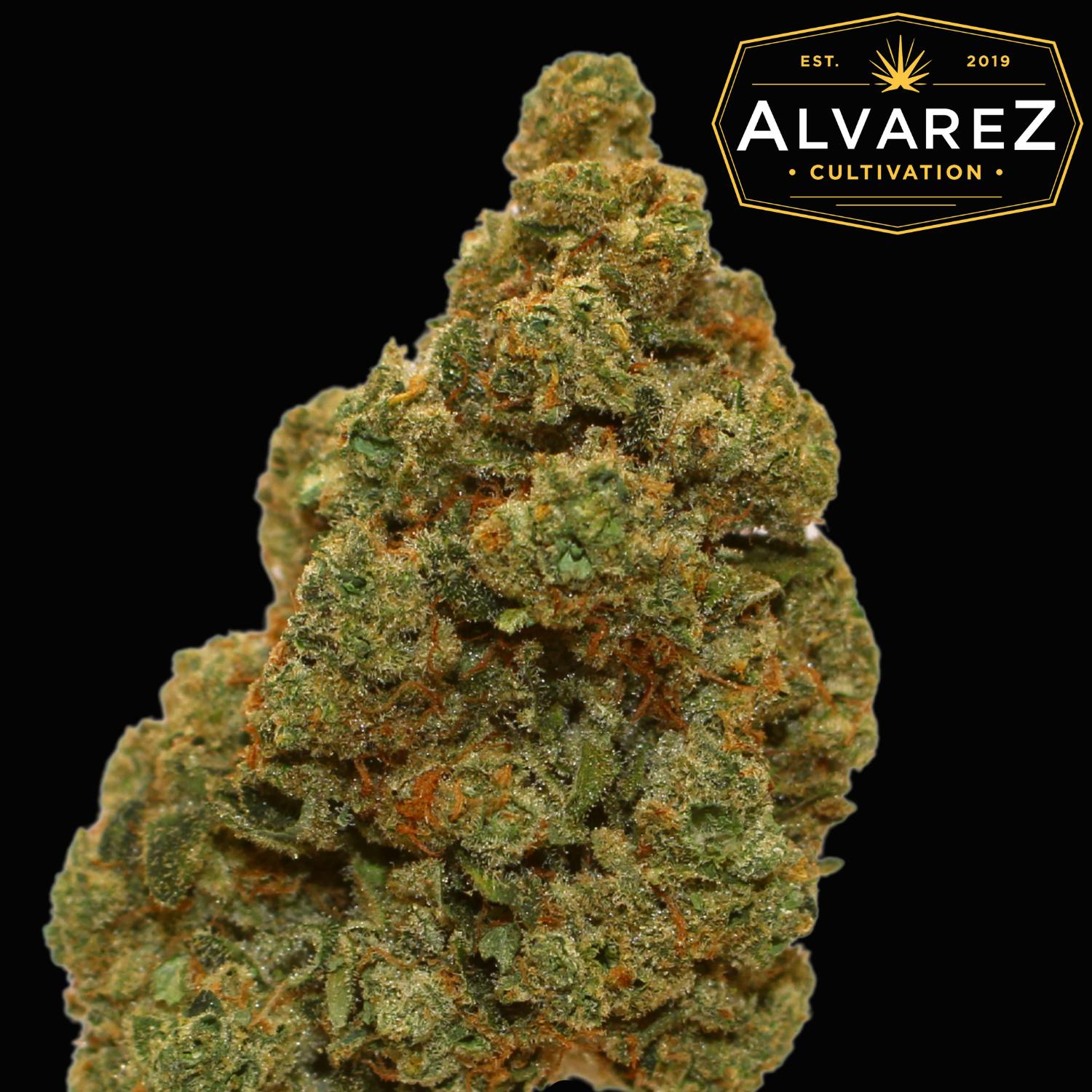 Lemon Mints Alvarez Cultivation