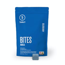 Blueberry Classic Bites 10pk (100mg) | Indica