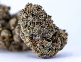 Cocopuffs - Hybrid - 31.00%THC