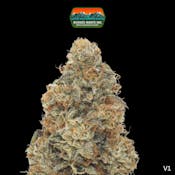 Khalifa Kush