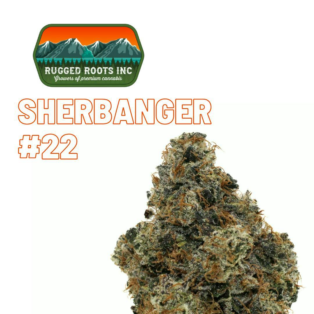 Rugged Roots - Sherbanger #22 3.5g Flower by Rugged Roots
