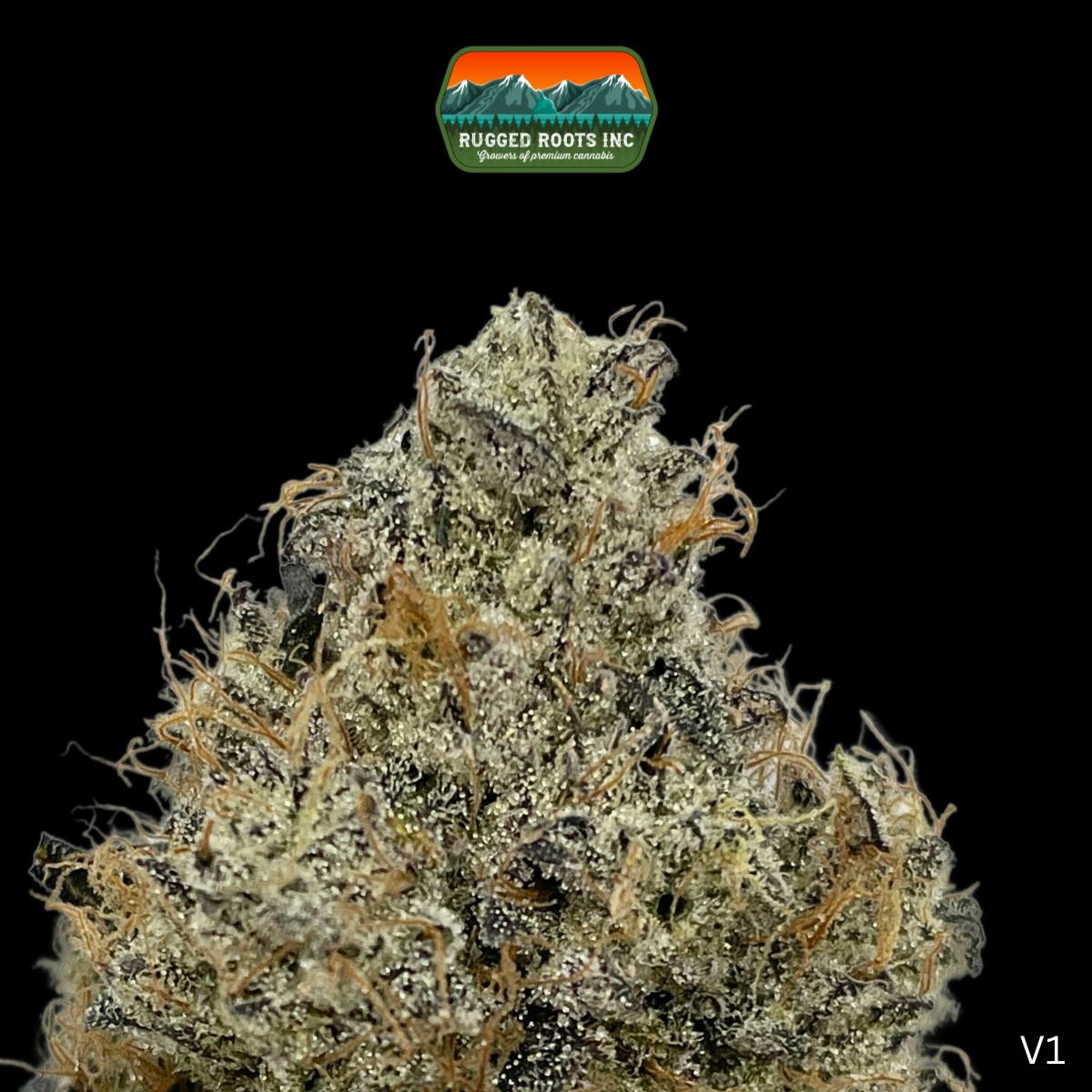 Rugged Roots | Edo G 3.5g - Rugged Roots