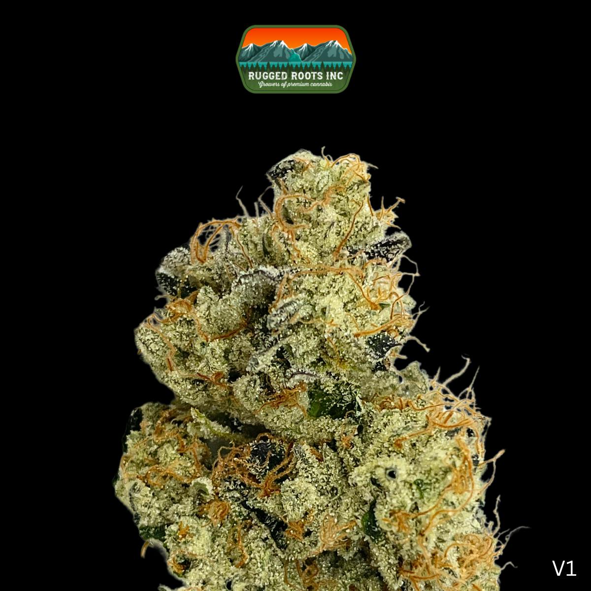 Rugged Roots | Hollow Bones 3.5g by Rugged Roots