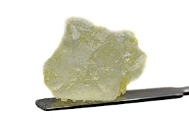 Rugged Roots - Diamonds Purple Haze 1g