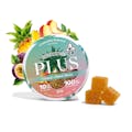 PLUS - Edibles - Island Maui Haze Sativa Solventless Gummies - 100mg