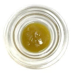 Live Badder (Pre-Packed) - Blueberry Muffin - Northern Harvest / GTF