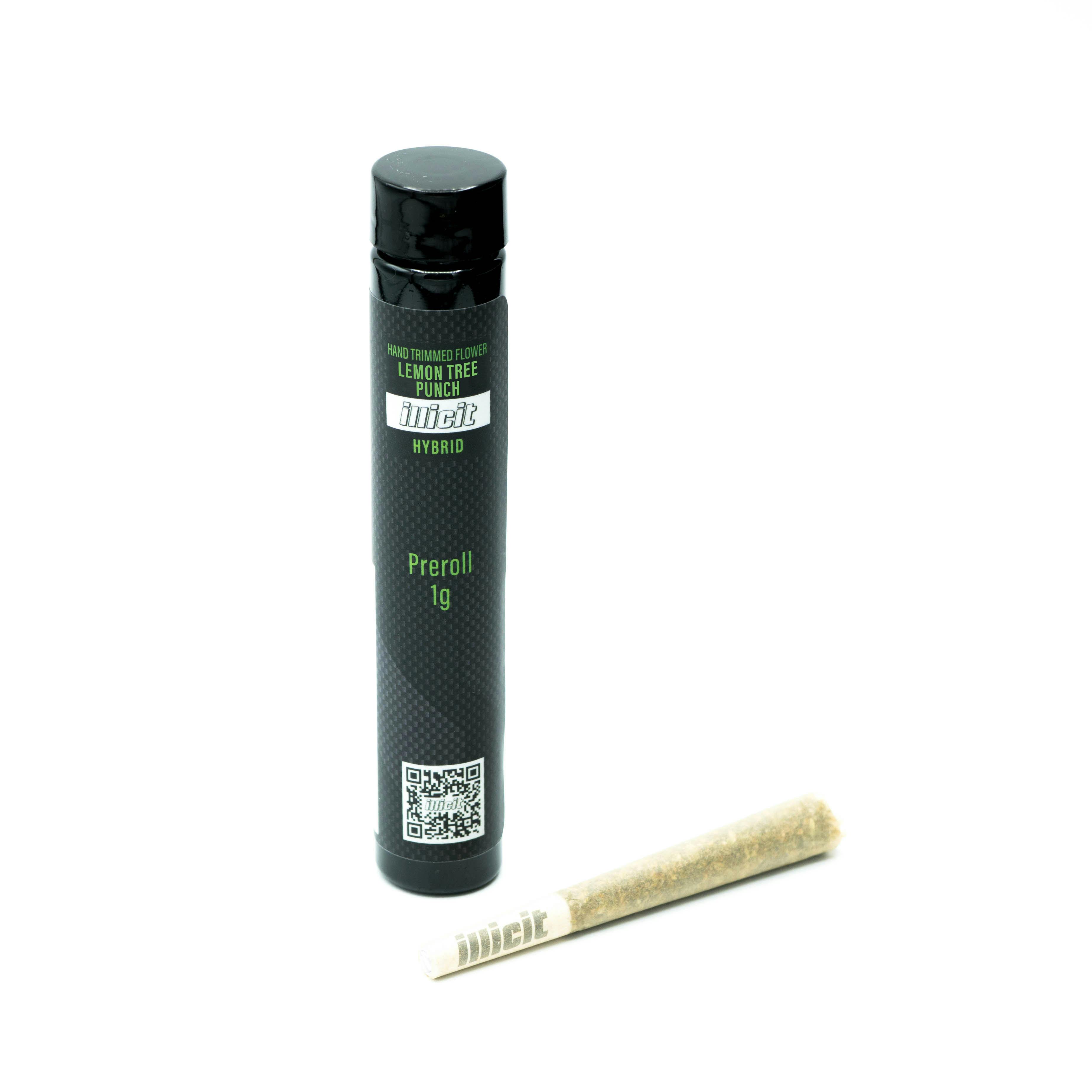 Lemon Tree Punch 1g Pre-Roll - ILLICIT