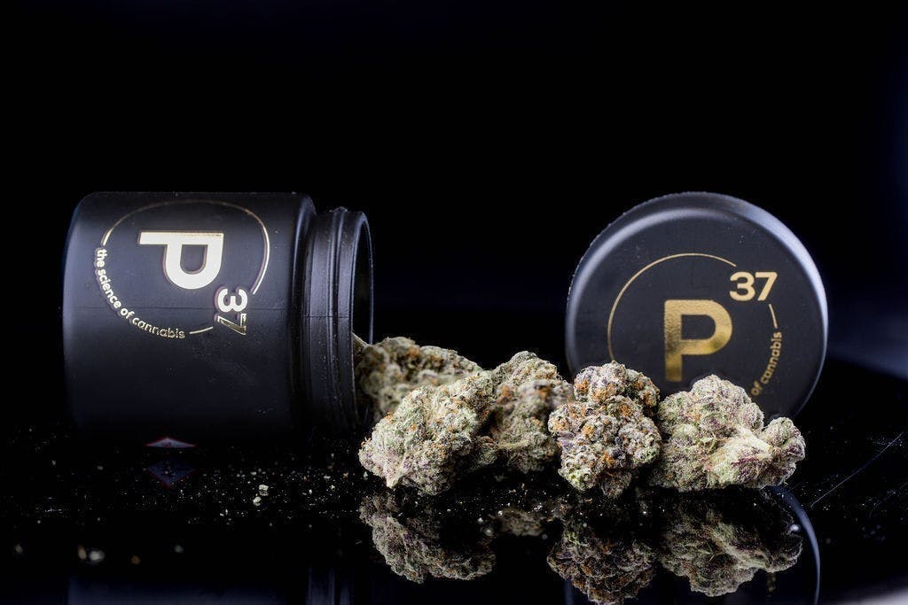 P37 | Cotton Candy | Big Buds by P37