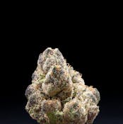 Vice City (Indoor)