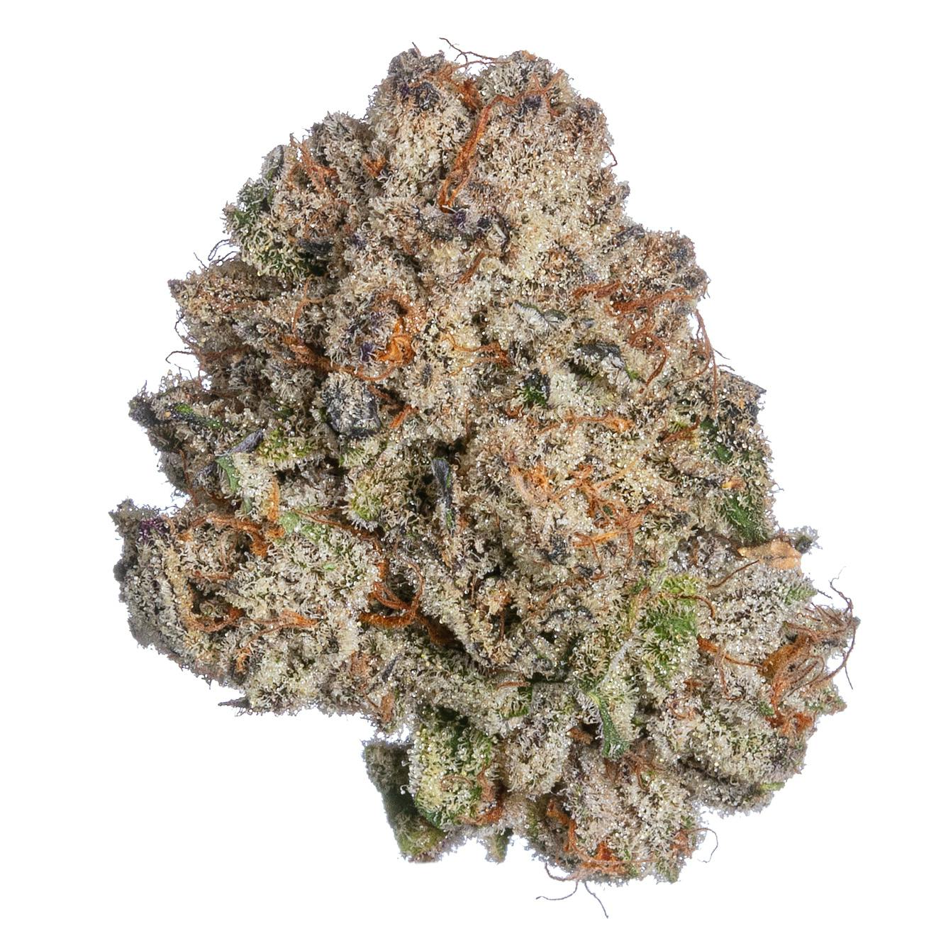 Meraki Gardens: Blue Razz
