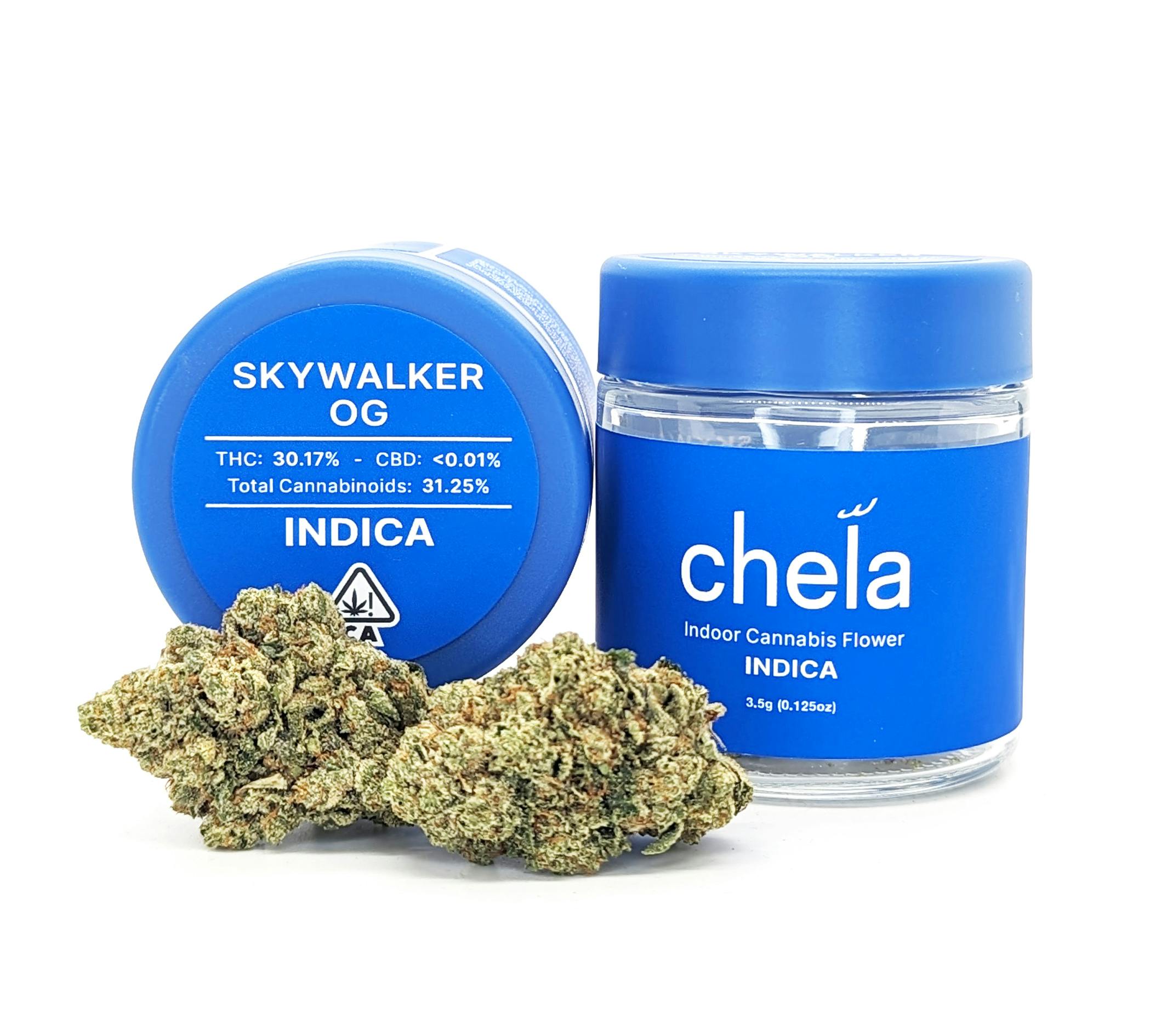 Chela - Indoor - Skywalker OG - Chela
