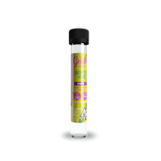 Gelato | Pineapple Sorbet | Lolli | Infused Pre-Roll | 1.2G