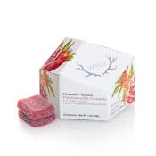 WYLD | Pomegranate 1:1 CBD + Hybrid Enhanced Gummies | 100mg