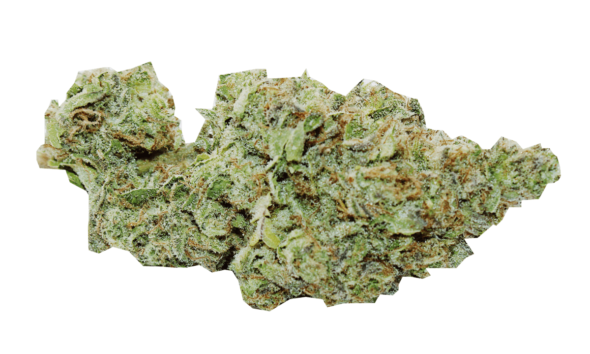 Gelato Jet Fuel 1 Gram (31 THC, HYBRID) Trusty Transportations