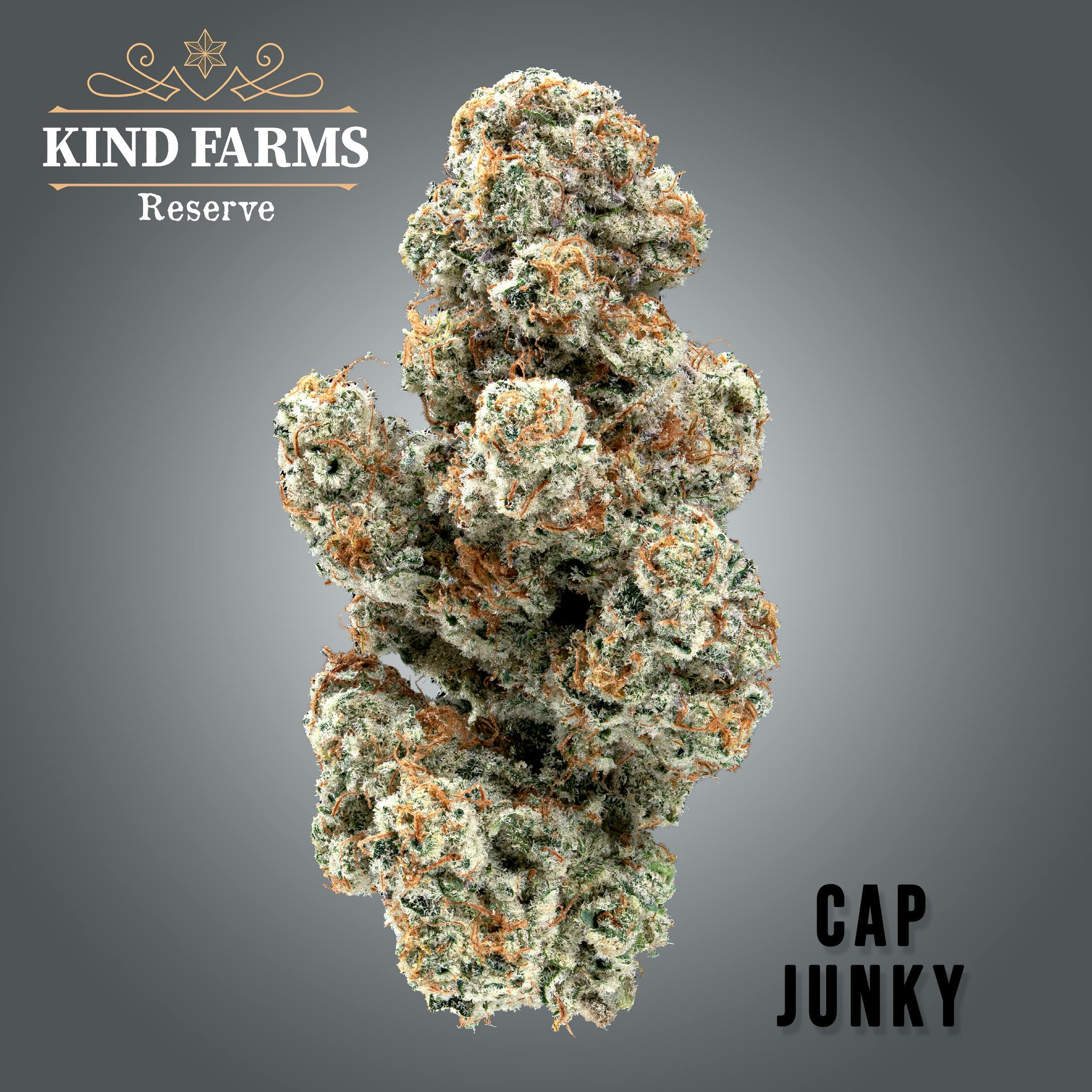 Cap Junky Kind Farms Reserve Kind Farms Reserve