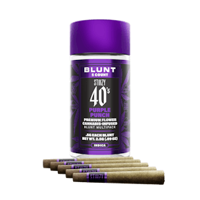 Purple Punch | Infused Mini Blunts | STIIIZY