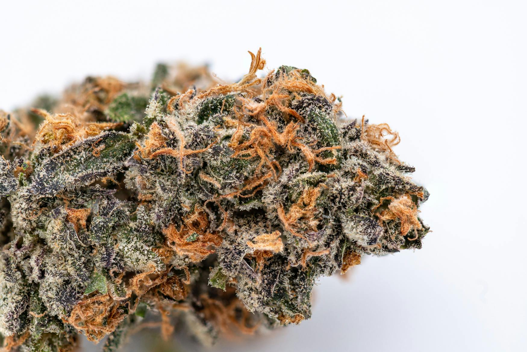 Peanut Butter Breath Flower Crux Cannabis