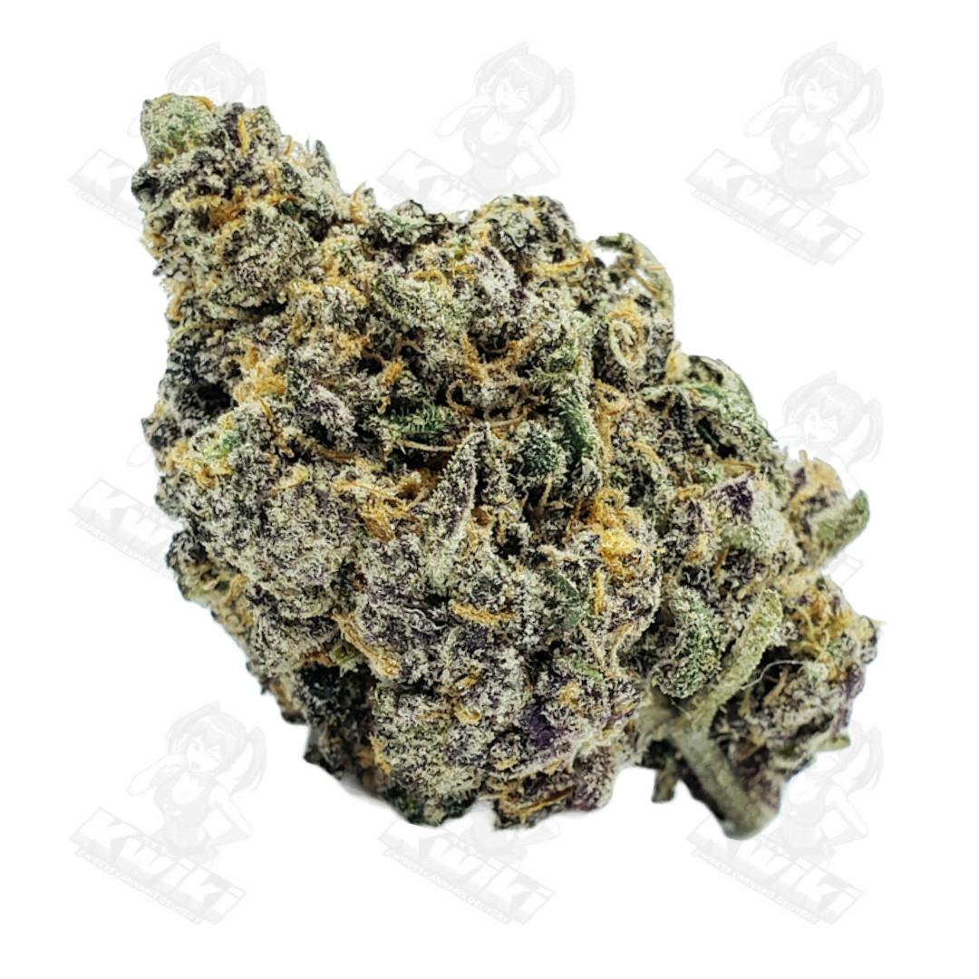 BISCOTTI RUNTZ *EXOTIC* - Oro