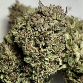 $100 Ounce of the Day - Crescendo