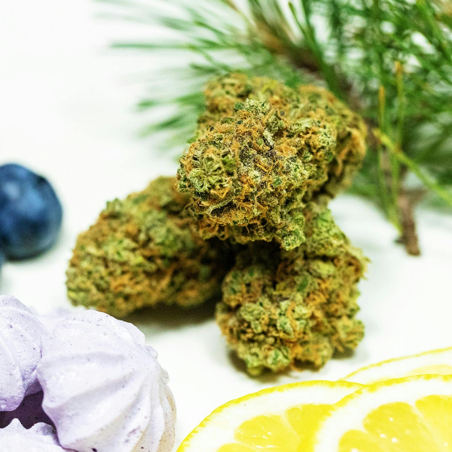 Blue Dream Flower