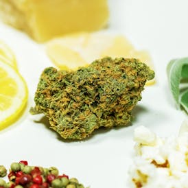 Lemon Skunk Flower