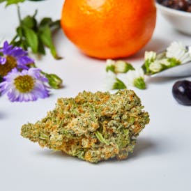 Lilac Diesel Flower