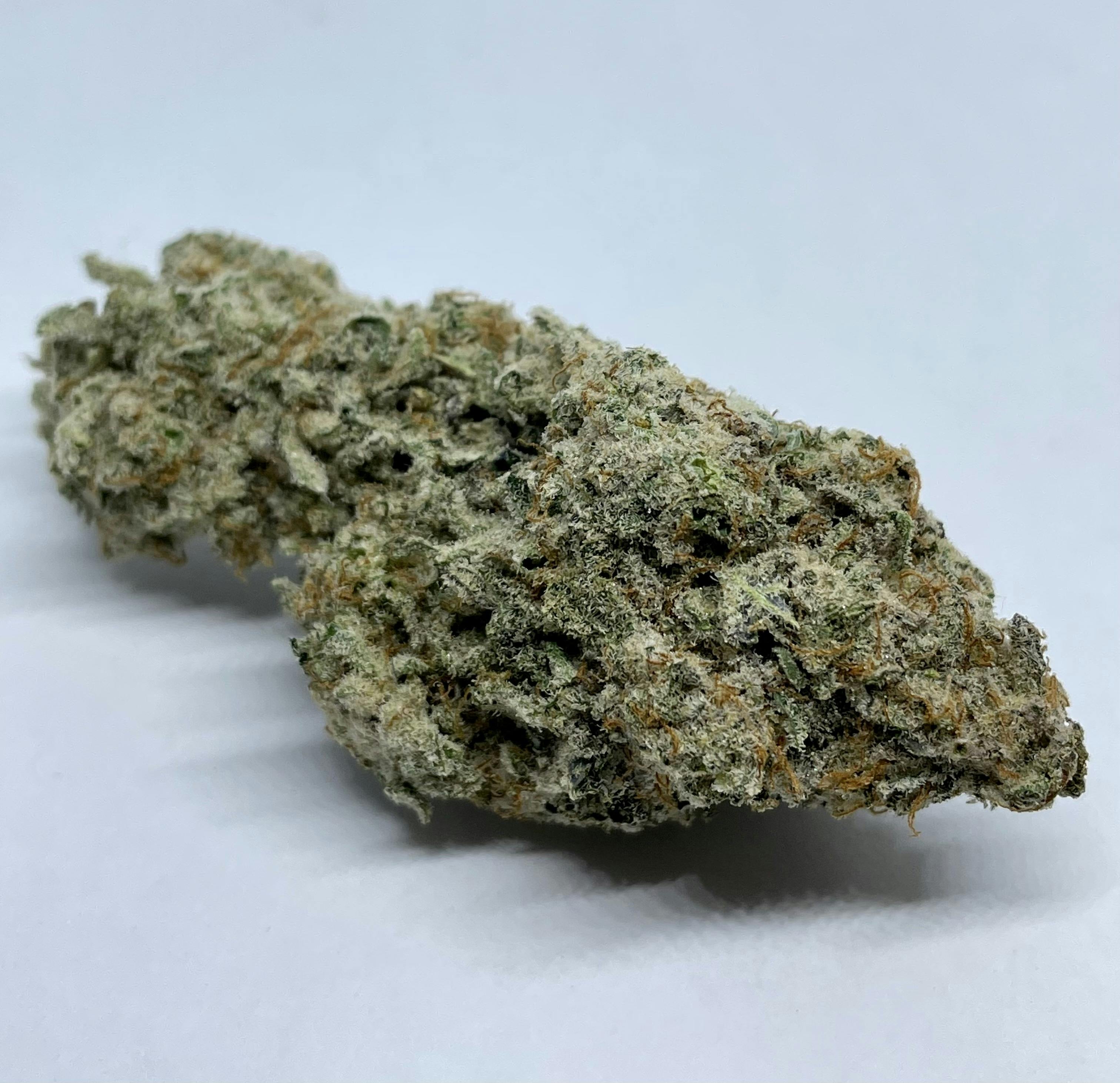MAC 1 by Nature's Miracle