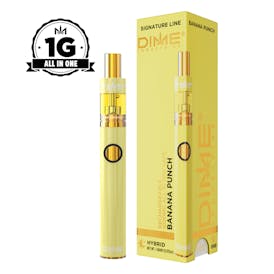 Banana Punch 1000mg All In One Device