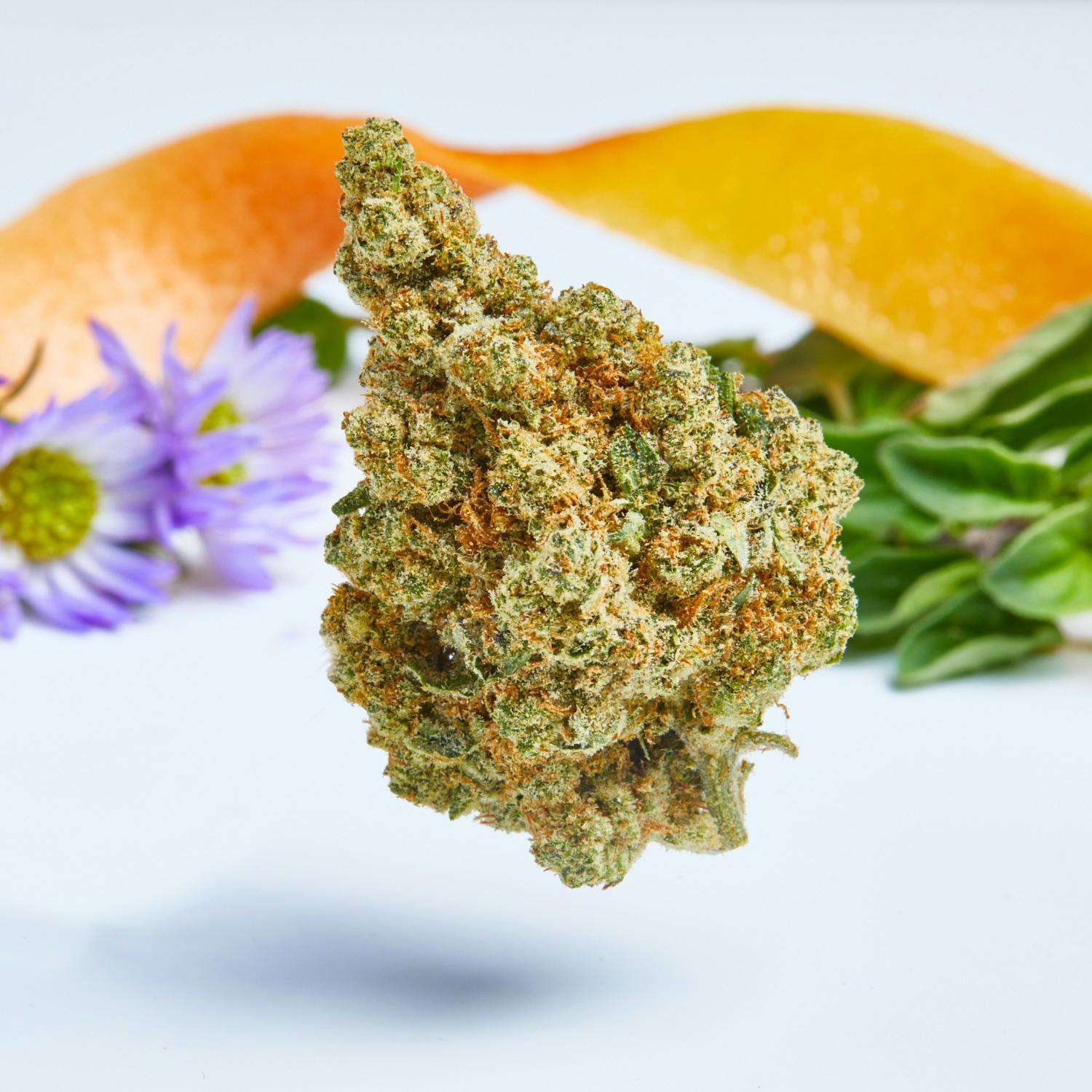 In The Flow Purple Sunset Flower Weedmaps