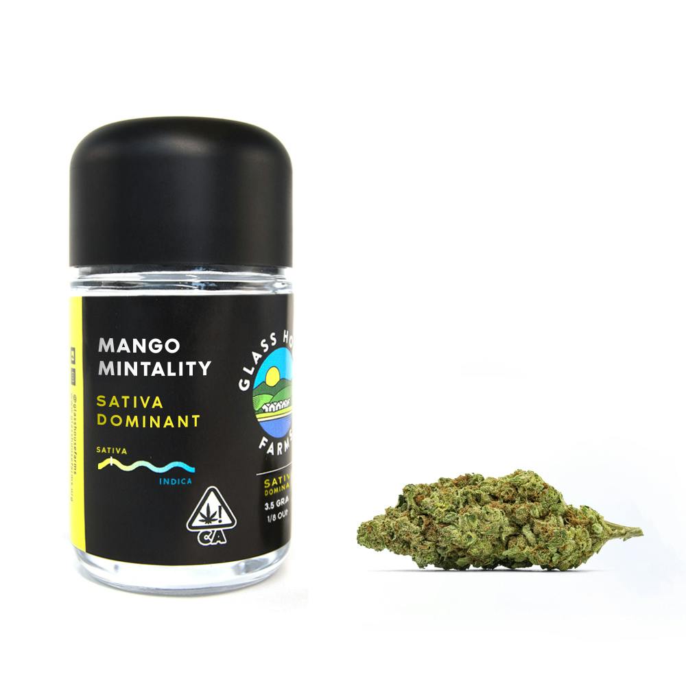 Mango Mintality [3.5g Jar] Glass House Farms