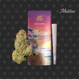 MALIBU (1G Pre-Roll)