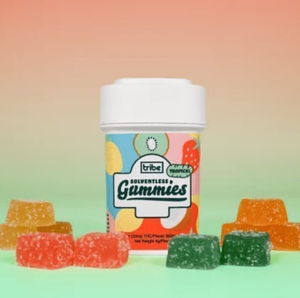 Tribe | Sativa | Tropical Solventless Gummies | 363mg | 11ct | 33mg/ea by Tribe