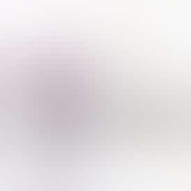 Fortune Cookie Premium Flower 14g - Funsize Series